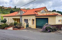 Canhas, Madeira 9360