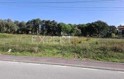 444 R. Roseiras, Aveiro, Aveiro District 3780