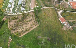 Leiria, Leiria District