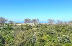 Sagres, Algarve 8650