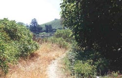 Lamego, Viseu