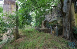 Setúbal, Setubal