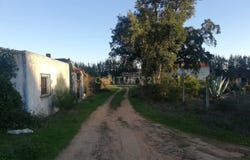 Quinta do Anjo, Setubal