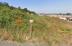 Nogueira da Regedoura, Aveiro District