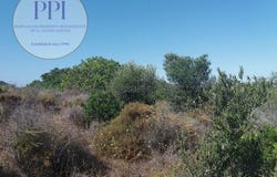 Vila do Bispo, Faro 8650-000