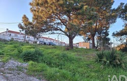 Setúbal, Setubal