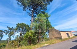 Caldas da Rainha, Leiria District