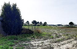 Ovar, Aveiro District