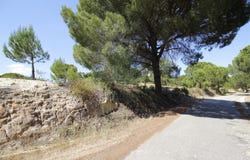Mora, Évora 7490