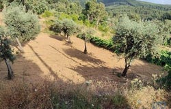 Sertã, Castelo Branco 6100-514