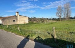 Estarreja, Aveiro 3860-590