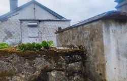 Vila Nova de Cerveira, Viana do Castelo 4920-070