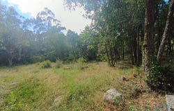 Leiria, Leiria District