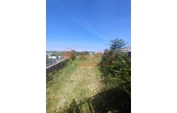 Mire de Tibães, Braga
