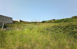 Peniche, Leiria District