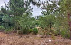 Azeitão (São Lourenço e São Simão), Setúbal, Setubal