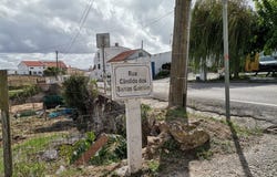 São Martinho do Porto, Leiria District