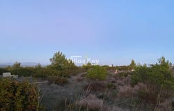 Budens, Algarve 8650