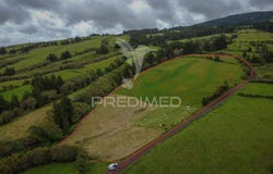 Cedros, Horta, Azores 9900