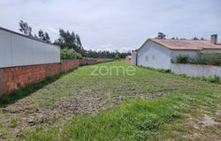 Vagos, Aveiro District