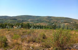 Estreito-vilar Barroco, Castelo Branco District
