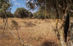 Paderne, Algarve