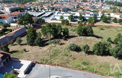 Vila Real, Vila Real District