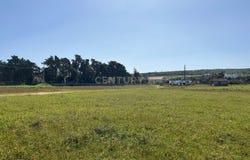 Palmela, Setubal