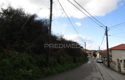 Nogueira da Regedoura, Santa Maria da Feira, Aveiro District
