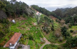 Santo António da Serra, Santa Cruz, Madeira 9100-255