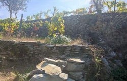 Tabuaço, Viseu 5120-064
