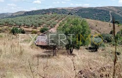 6 R. Principal, Bragança, Bragança District 5300