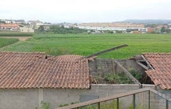 Barcelos, Braga 4750-819