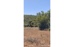Almancil, Algarve