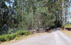 Vila Verde, Braga