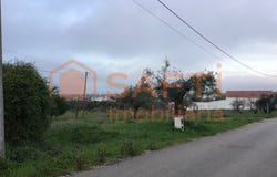 Paialvo, Santarém District