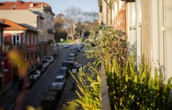 Cedofeita, Porto District