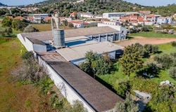 São Bartolomeu de Messines, Algarve