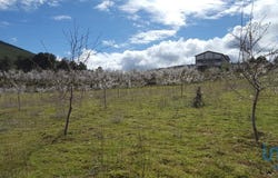 Bragança, Bragança District