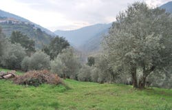Nogueira e Ermida, Vila Real District