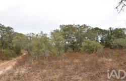 Santarém, Santarém District
