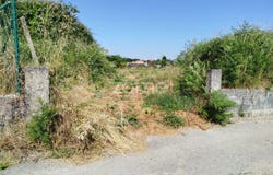 Viseu, Viseu District