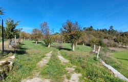 Viseu, Viseu District