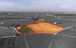 Borba (Matriz), Évora 7150