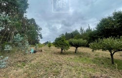 Anadia, Aveiro District