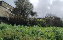 Maiorga, Leiria 2460