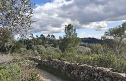 Penamacor, Castelo Branco 6090-229