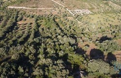 Ferreira do Zêzere, Santarém 2240-300