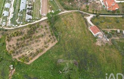 Leiria, Leiria District