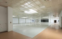 Avenidas Novas, Lisbon
